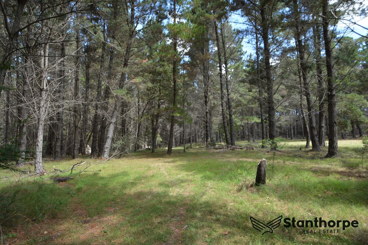 Additional image 15 of 240 Panoramic Drive, Sugarloaf QLD 4380