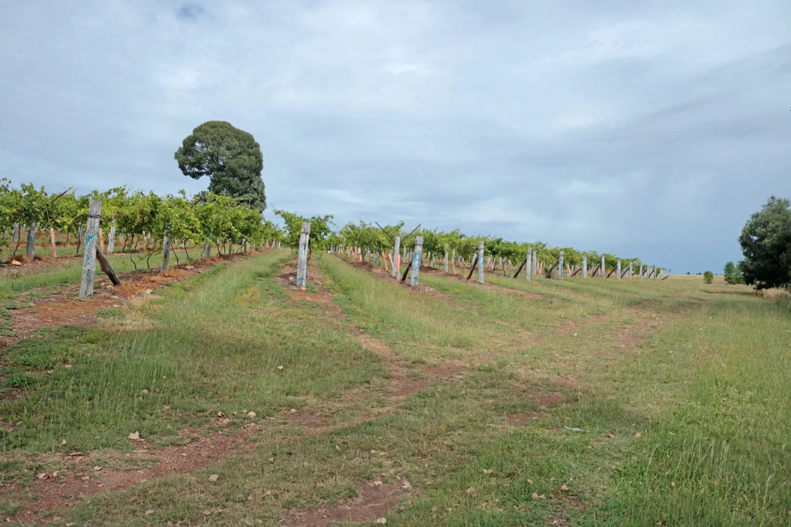 Additional image 14 of 700 Coonambula Road,, Riverleigh QLD 4626