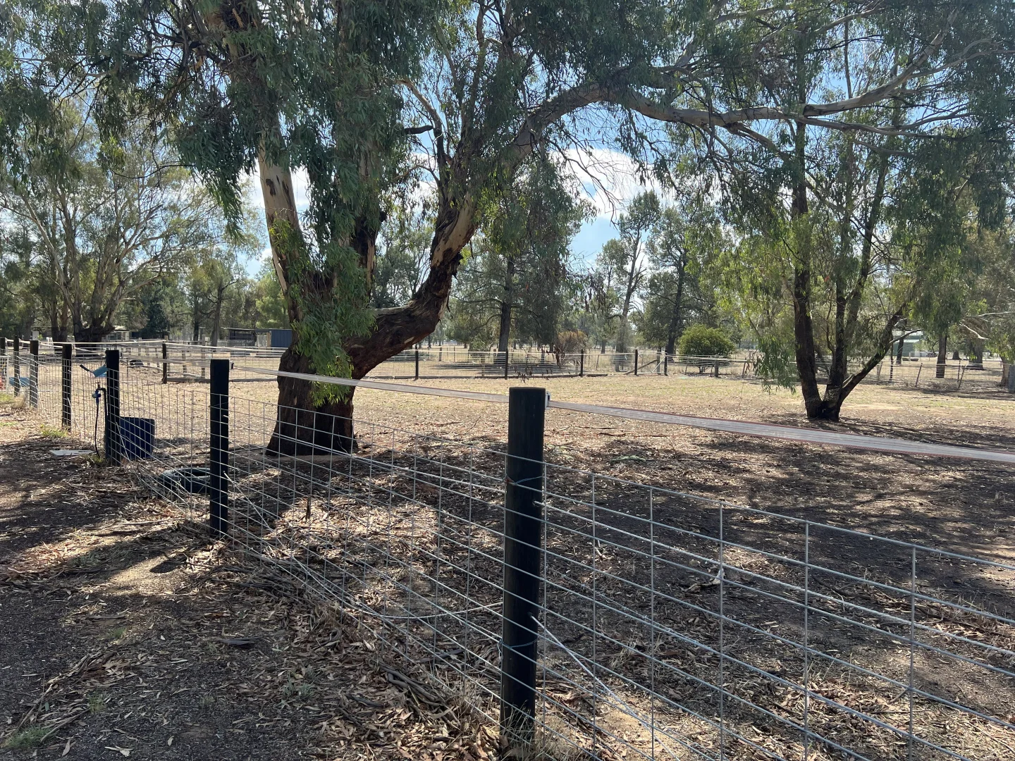 Additional image 25 of 32 Racecourse Road, Berrigan NSW 2712