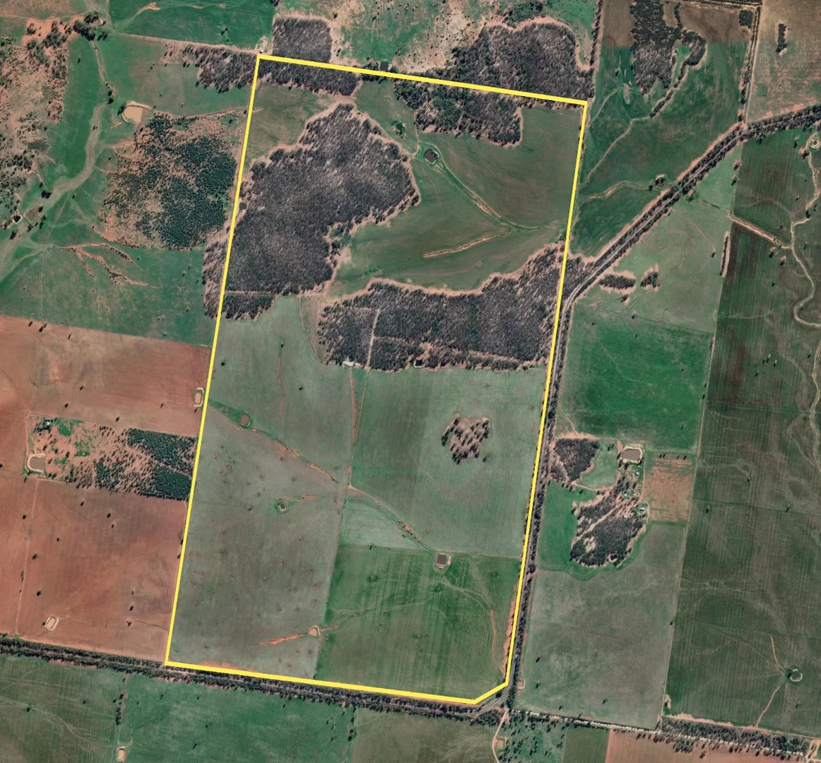 Additional image 11 of 1826 Tallimba Road, West Wyalong NSW 2671