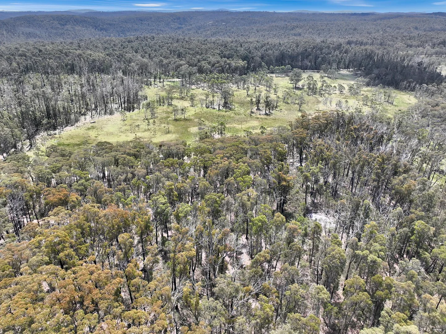 Additional image 32 of Lot 51 Tantawangalo Mountain Road, Cathcart NSW 2632