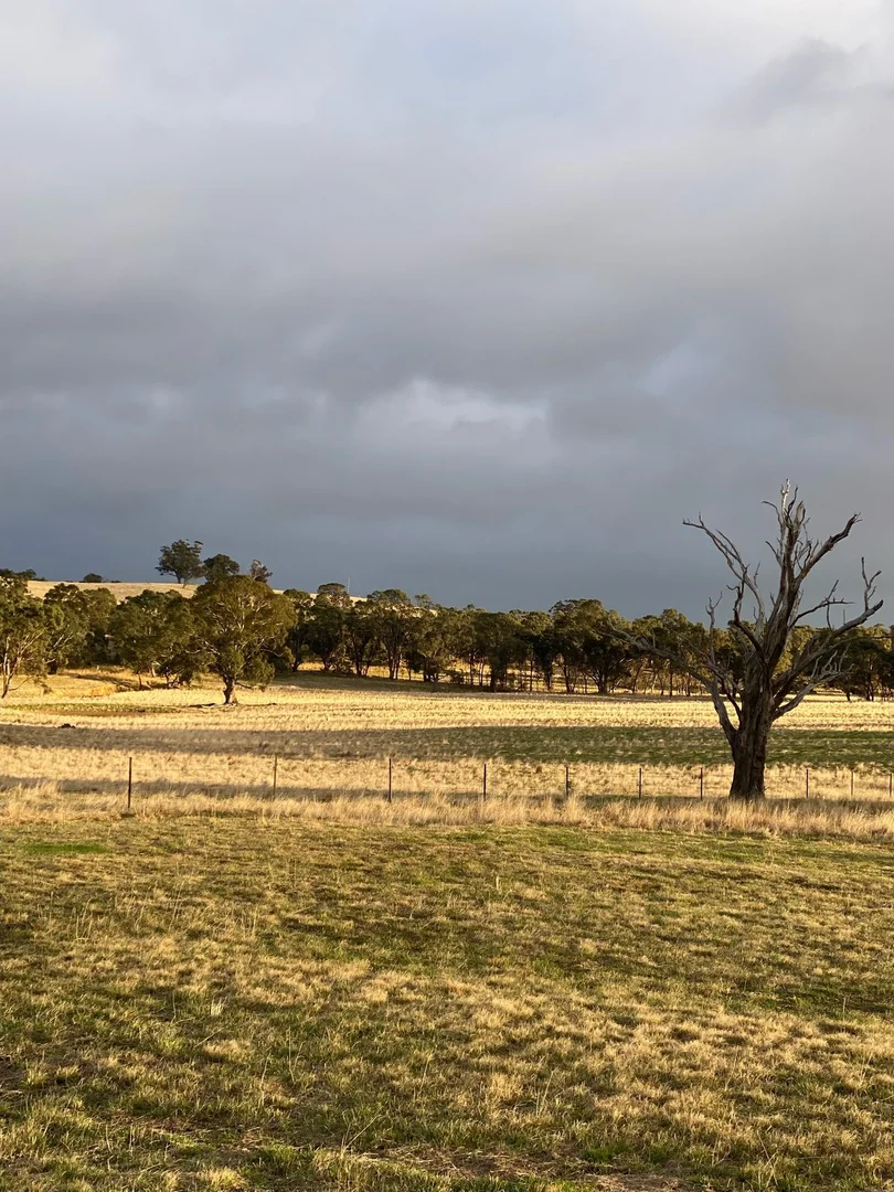 Additional image 8 of 28 Ring Lane, Tooborac VIC 3522