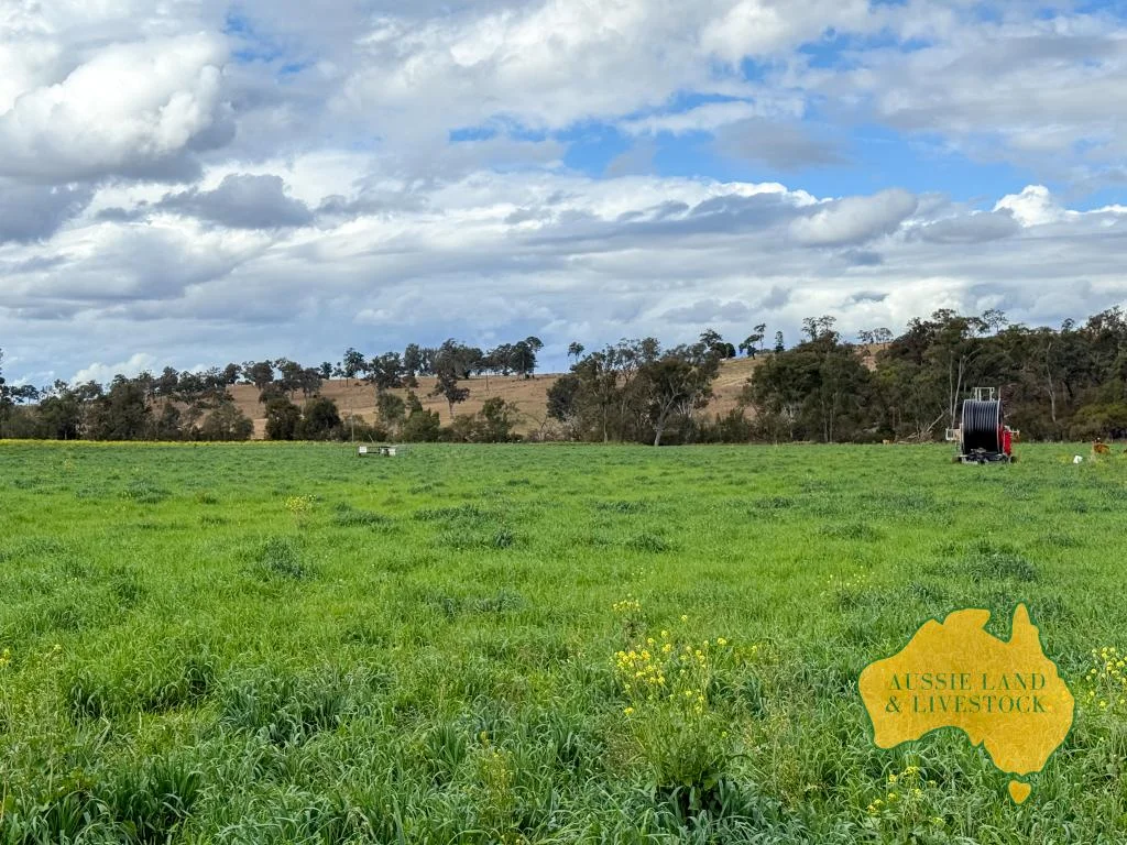 Additional image 60 of 250 Heights Road, Nanango QLD 4615