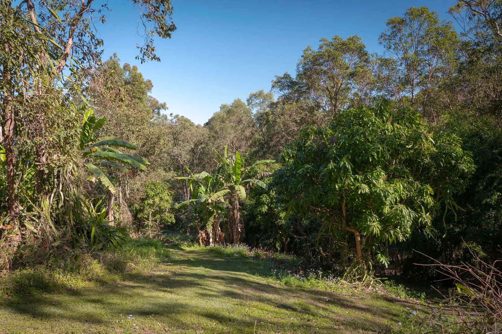 Additional image 6 of 15B Blue Hills Drive, Bunya QLD 4055