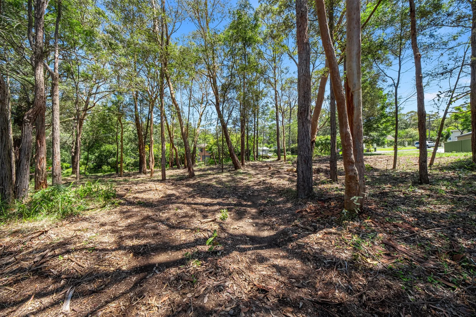 34 Waratah Street, Bowen Mountain NSW 2753