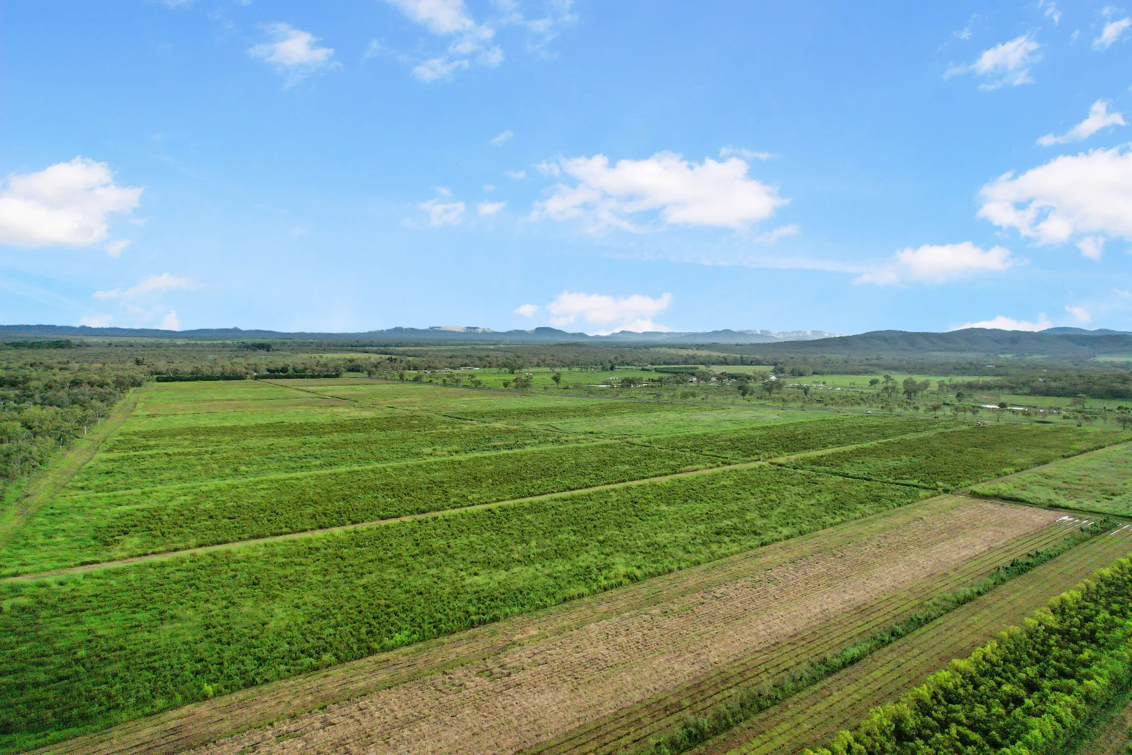 Additional image 17 of Lot 113 Leadingham Creek Road, Dimbulah QLD 4872