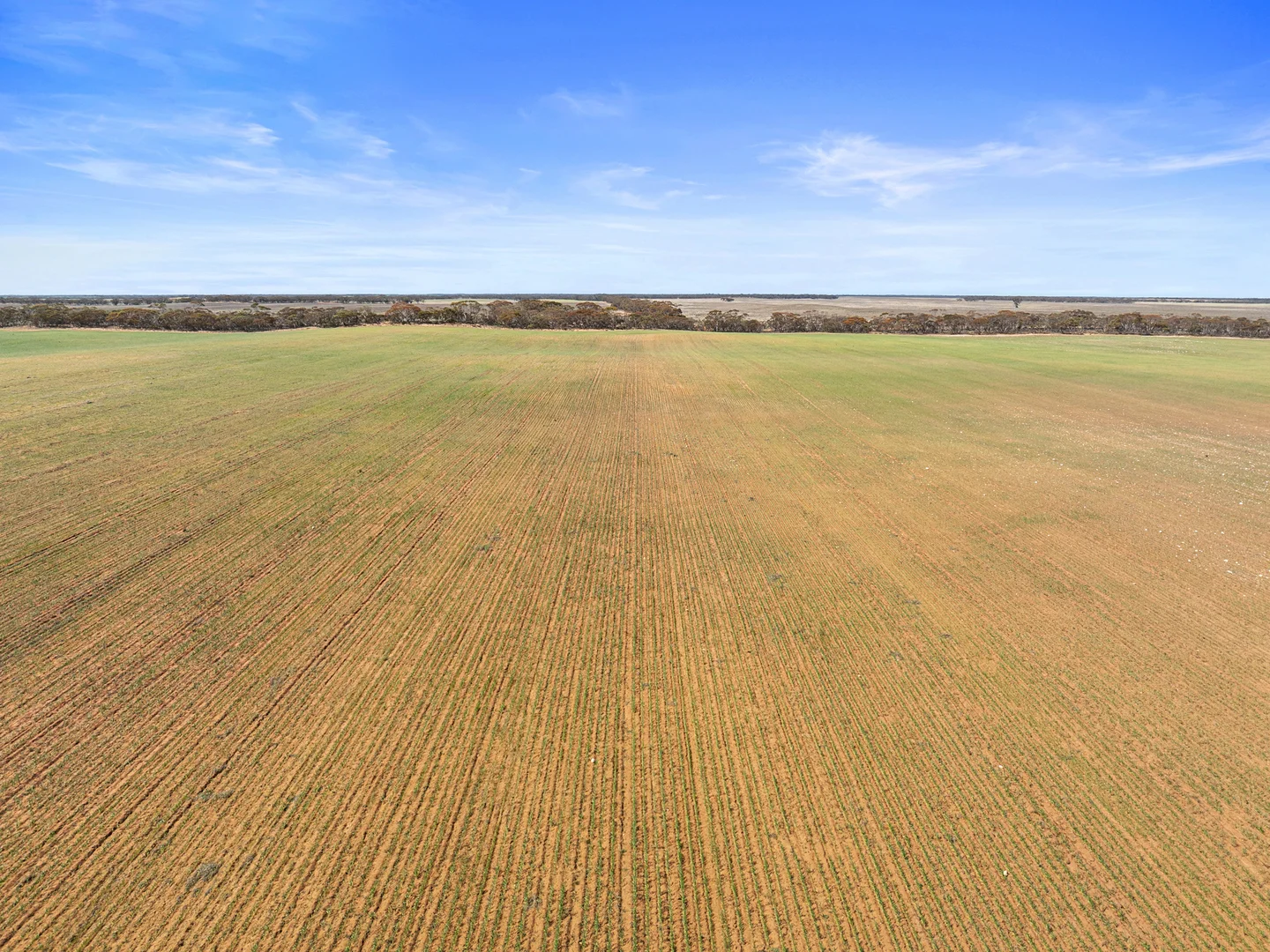 Additional image 22 of 1719 New Well Centre Road, New Well SA 5357