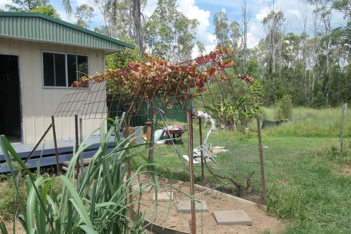 Additional image 3 of 12 Lyons Street, Rappville NSW 2469