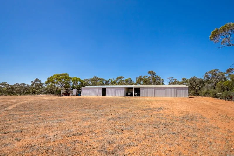 Additional image 16 of 116 Bollenhagen Road, Monash SA 5342