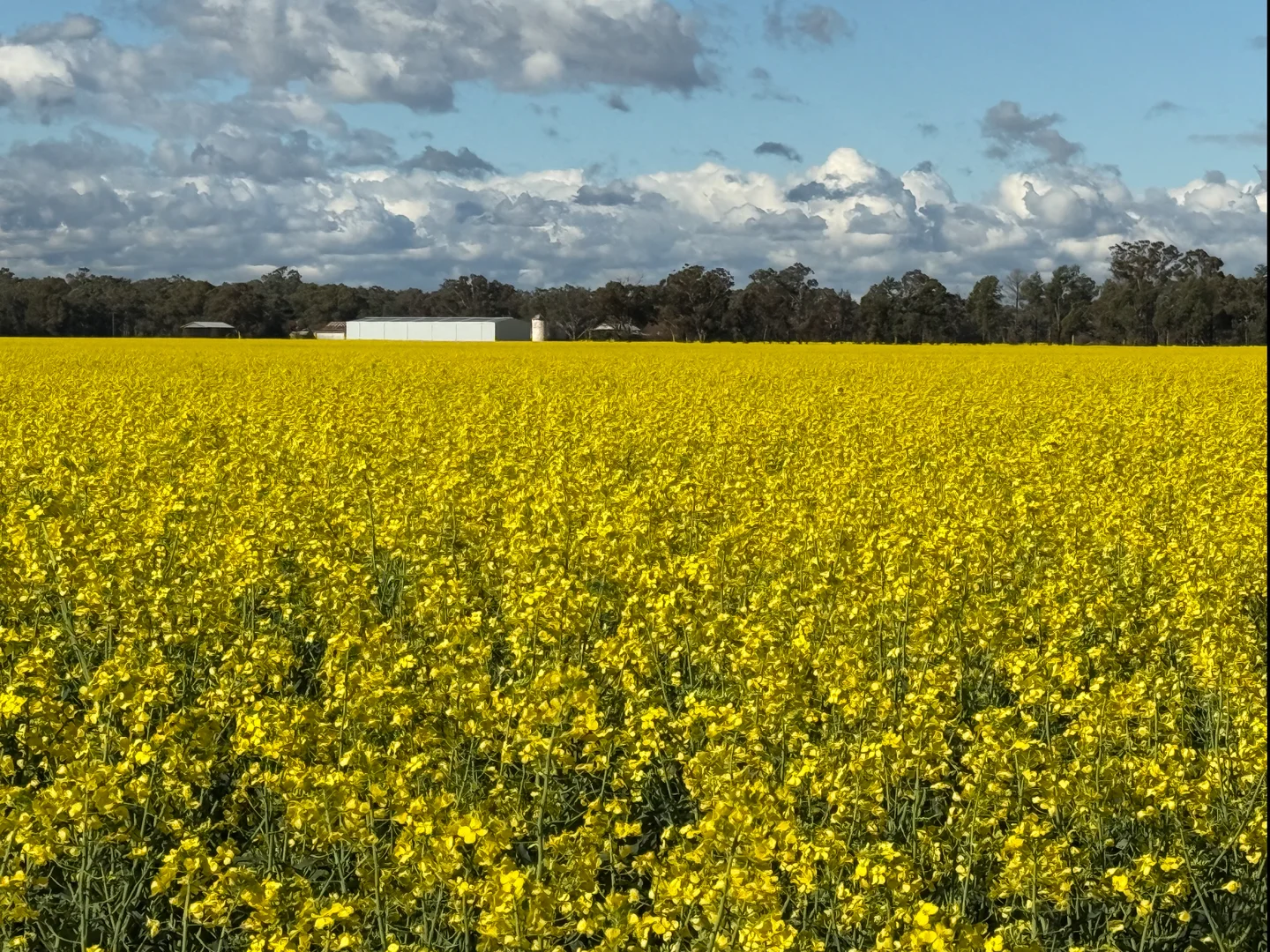 Additional image 20 of 349 A Warregal Road, Parkes NSW 2870