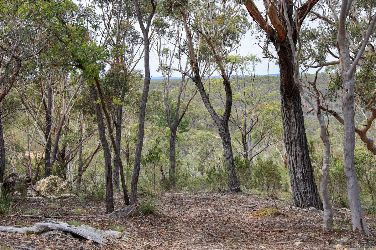 Additional image 4 of 1887 Oallen Ford Road, Oallen NSW 2622