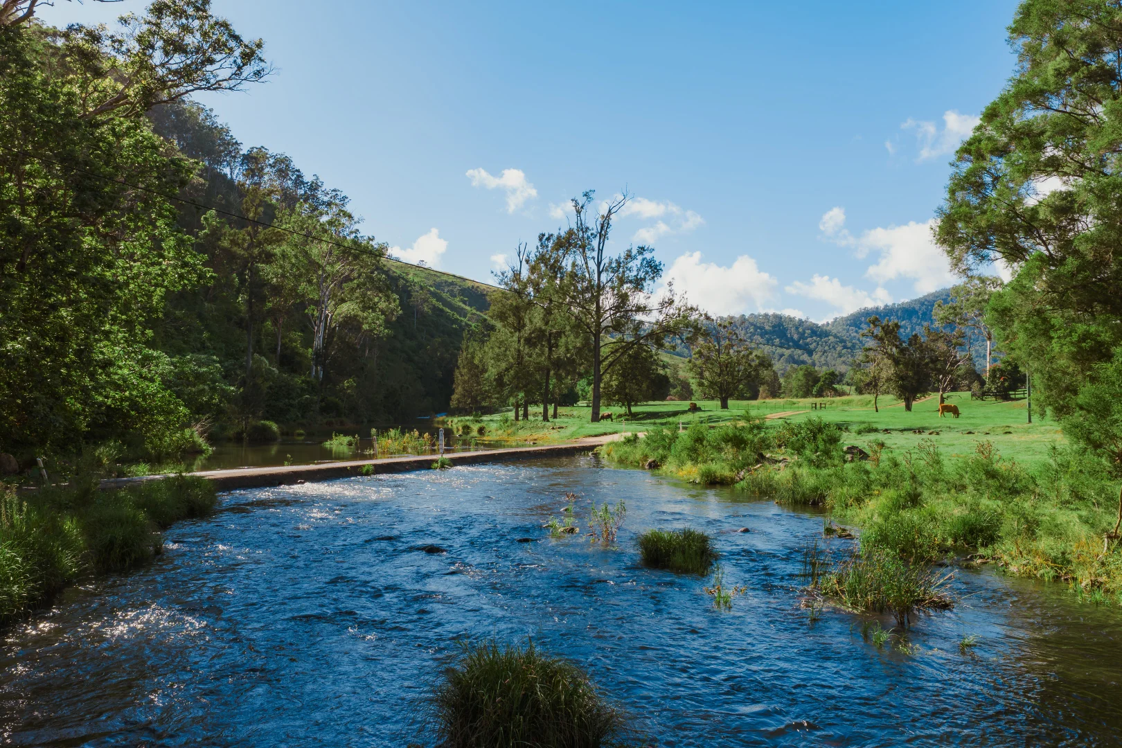 Additional image 31 of 466 Sarabah Road, Sarabah QLD 4275