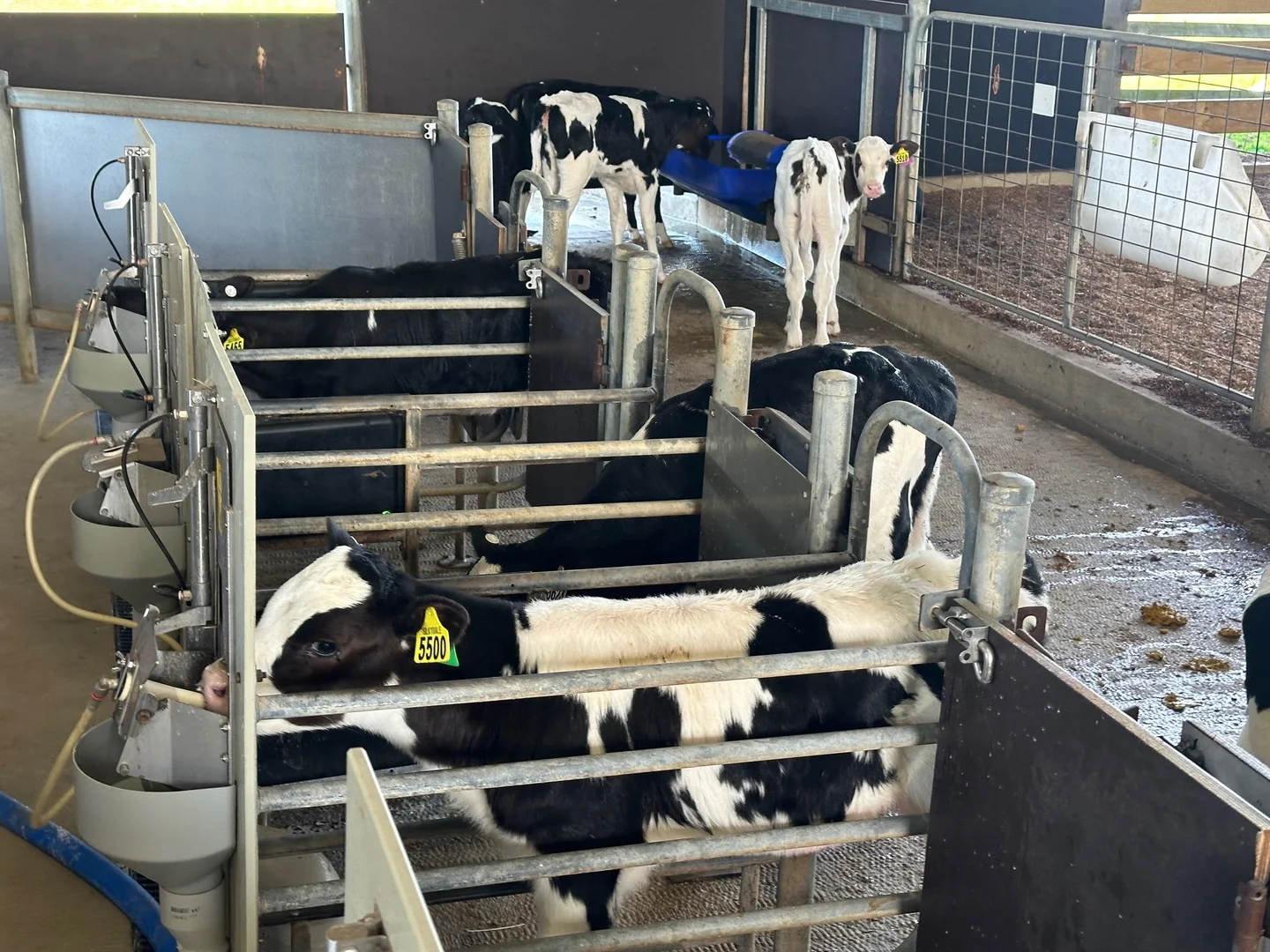 Additional image 17 of 765 Korumburra South Road, Korumburra South VIC 3950