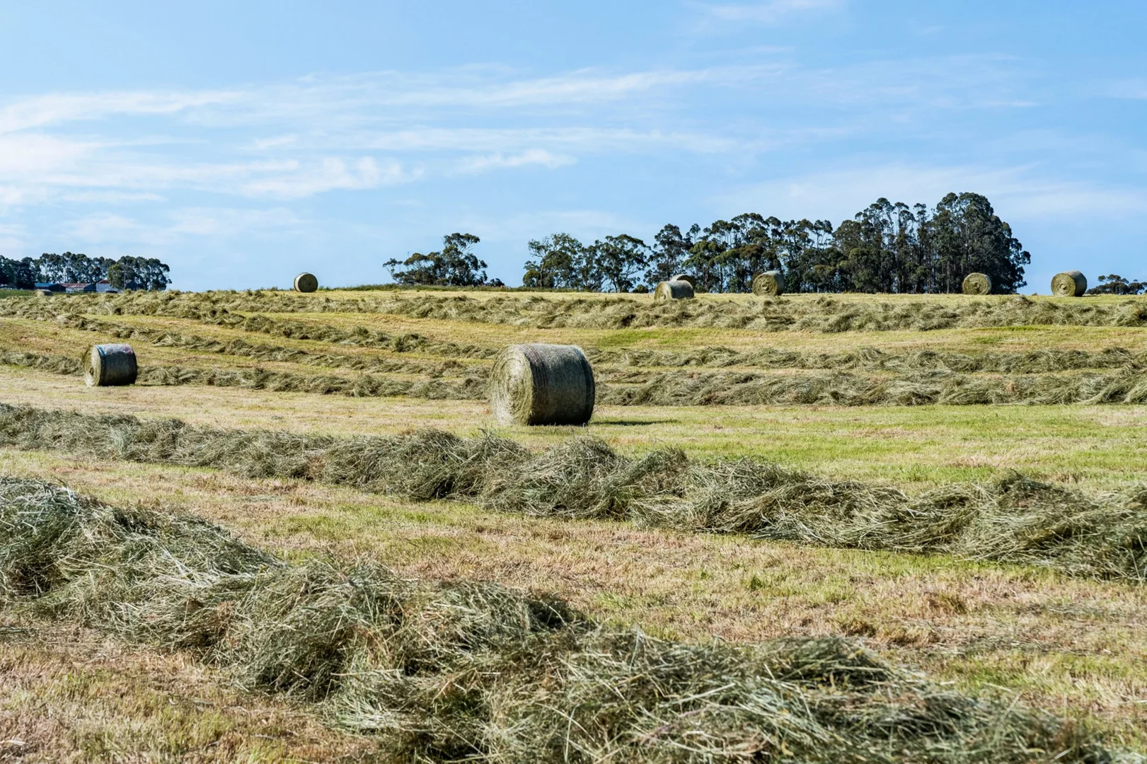 Additional image 4 of 1530 Birregurra-Forrest Road, Barwon Downs VIC 3243