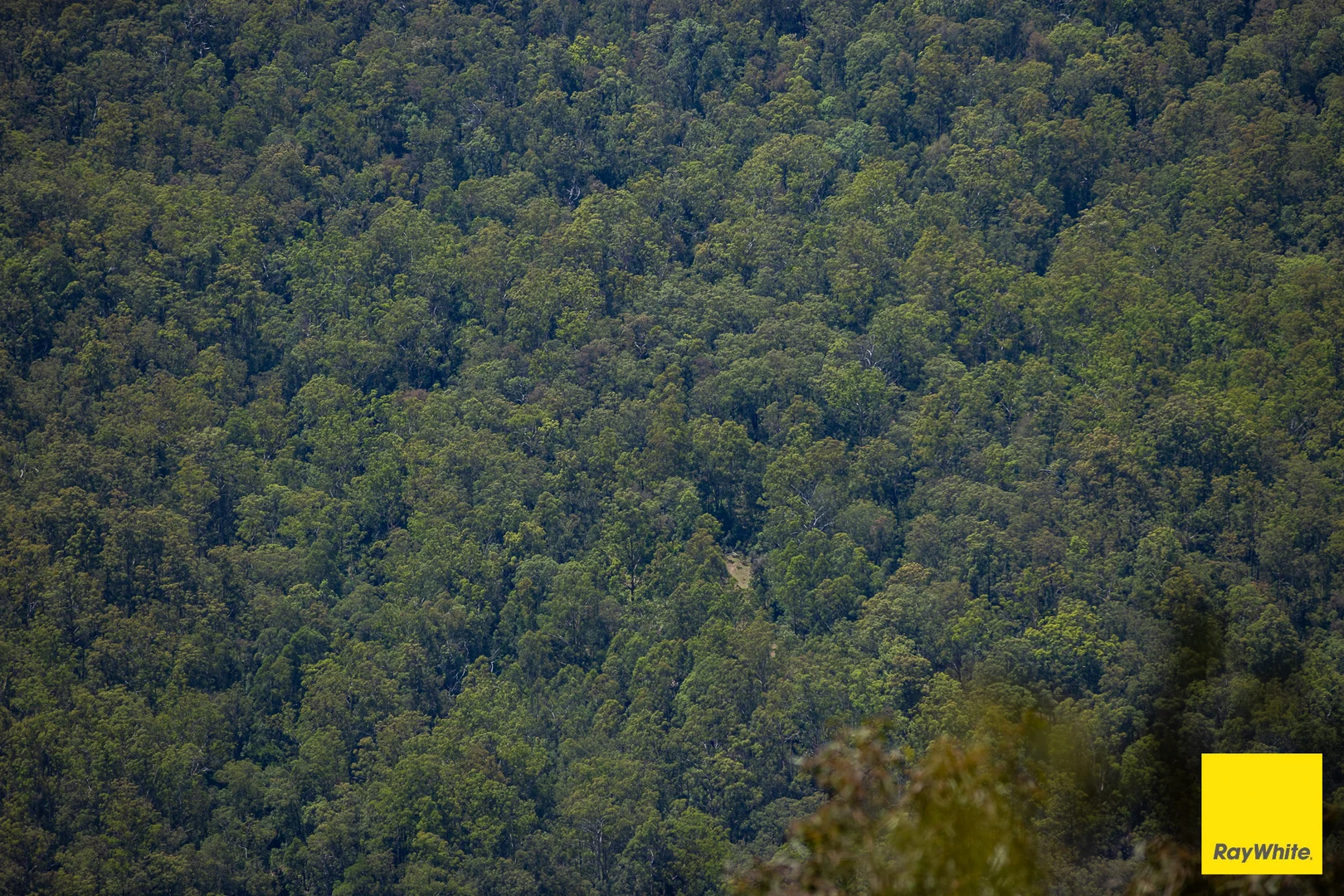 Additional image 4 of Lower Creek NSW 2440