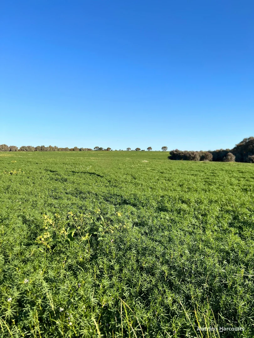 Additional image 8 of "Spion Kop" Huadanning Road, South Trayning WA 6488