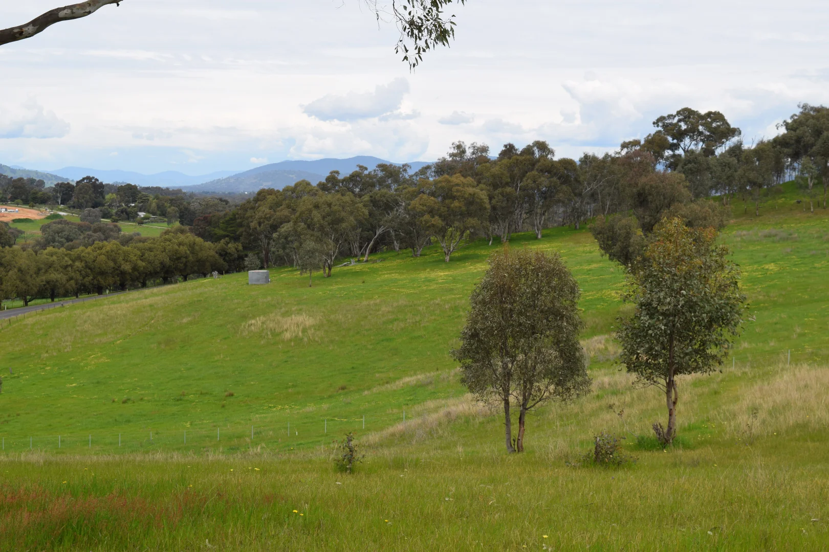 Additional image 2 of 87 Splitters Creek Road, Splitters Creek NSW 2640