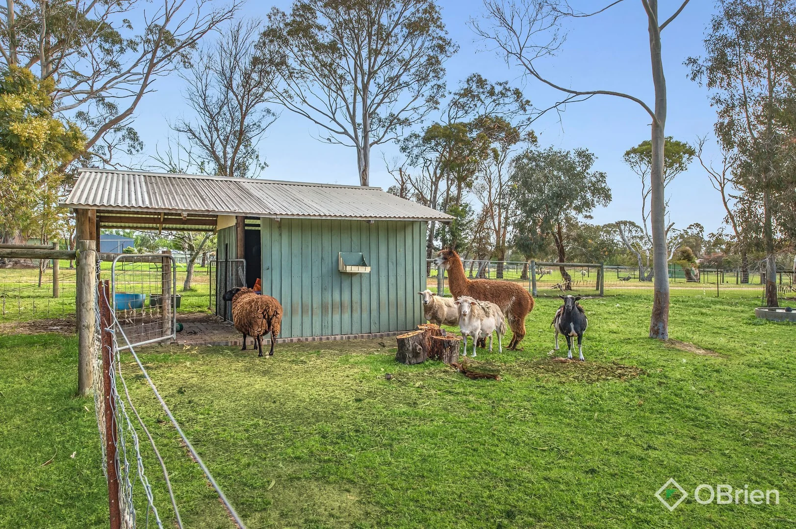 Additional image 19 of 349 Coolart Road, Somerville VIC 3912