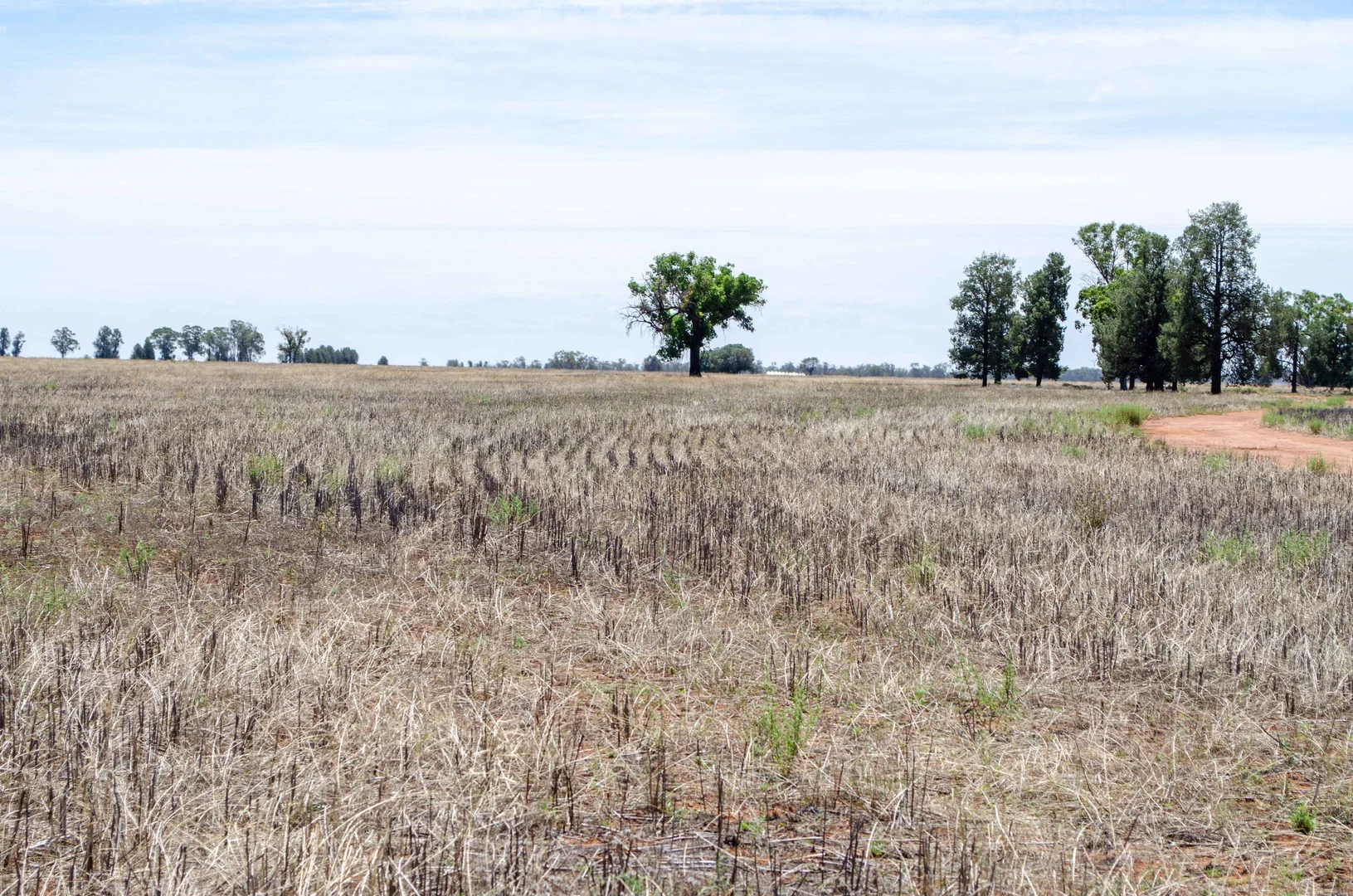 Additional image 18 of 489 West Milby Lane, Tullibigeal NSW 2669