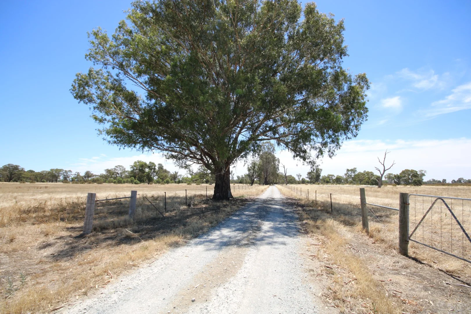 Additional image 27 of 801 Mason Road, Girgarre VIC 3624