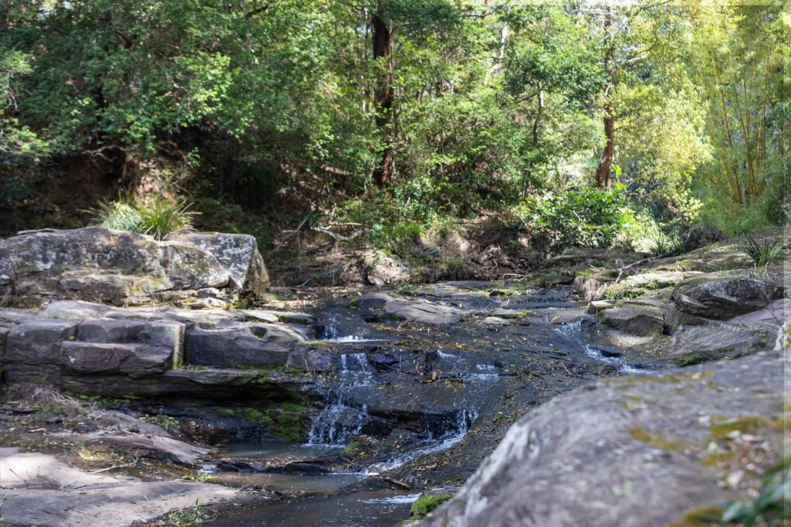 Additional image 44 of 319 Highlands Road, Eudlo QLD 4554