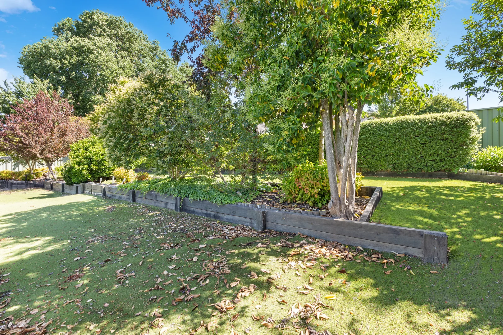 Additional image 19 of 11 Victoria Street, Yass NSW 2582