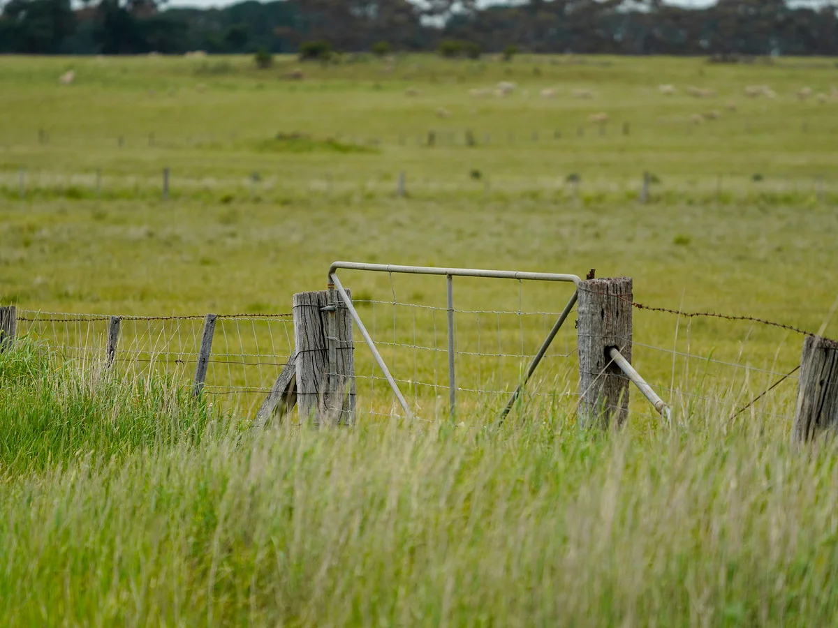 Additional image 11 of Huf's Back Lane, Warrayure VIC 3301