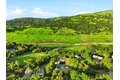 Additional image 62 of 17285 Copper Hill Dr, Morgan Hill, CA, 95037