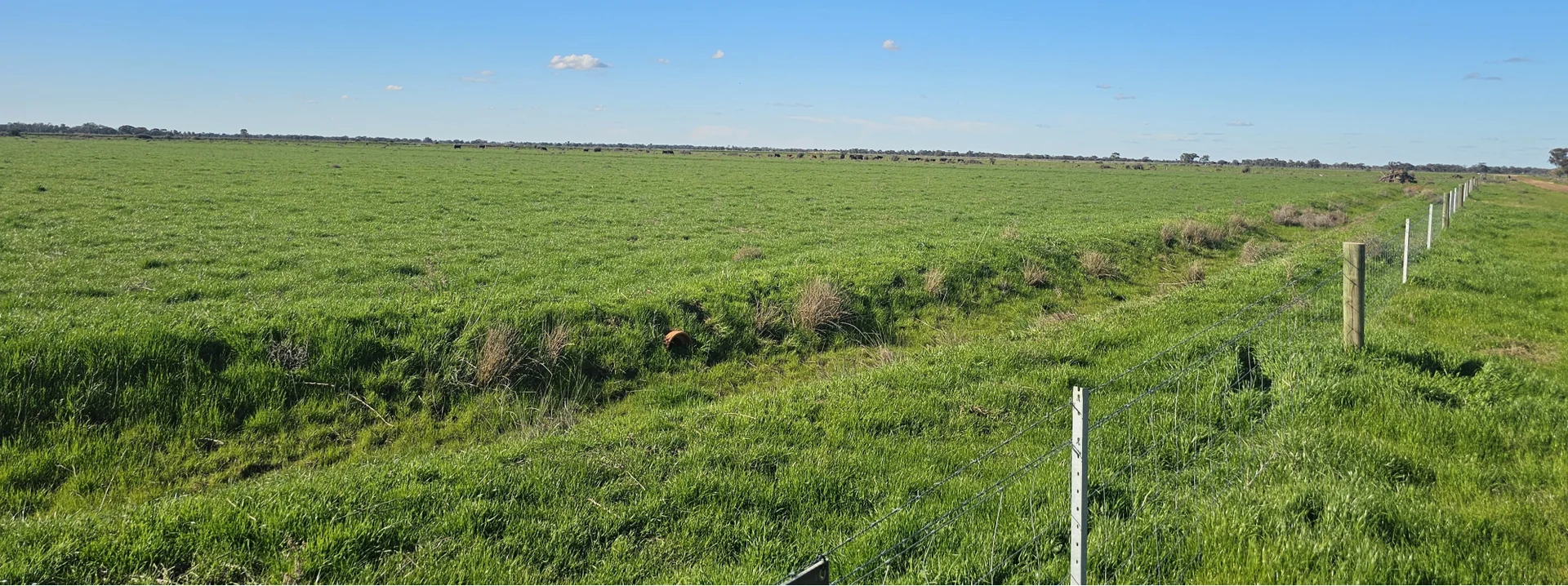 Additional image 8 of CA36, 40B & 41B Pyramid-Cohuna Road, Cohuna VIC 3568