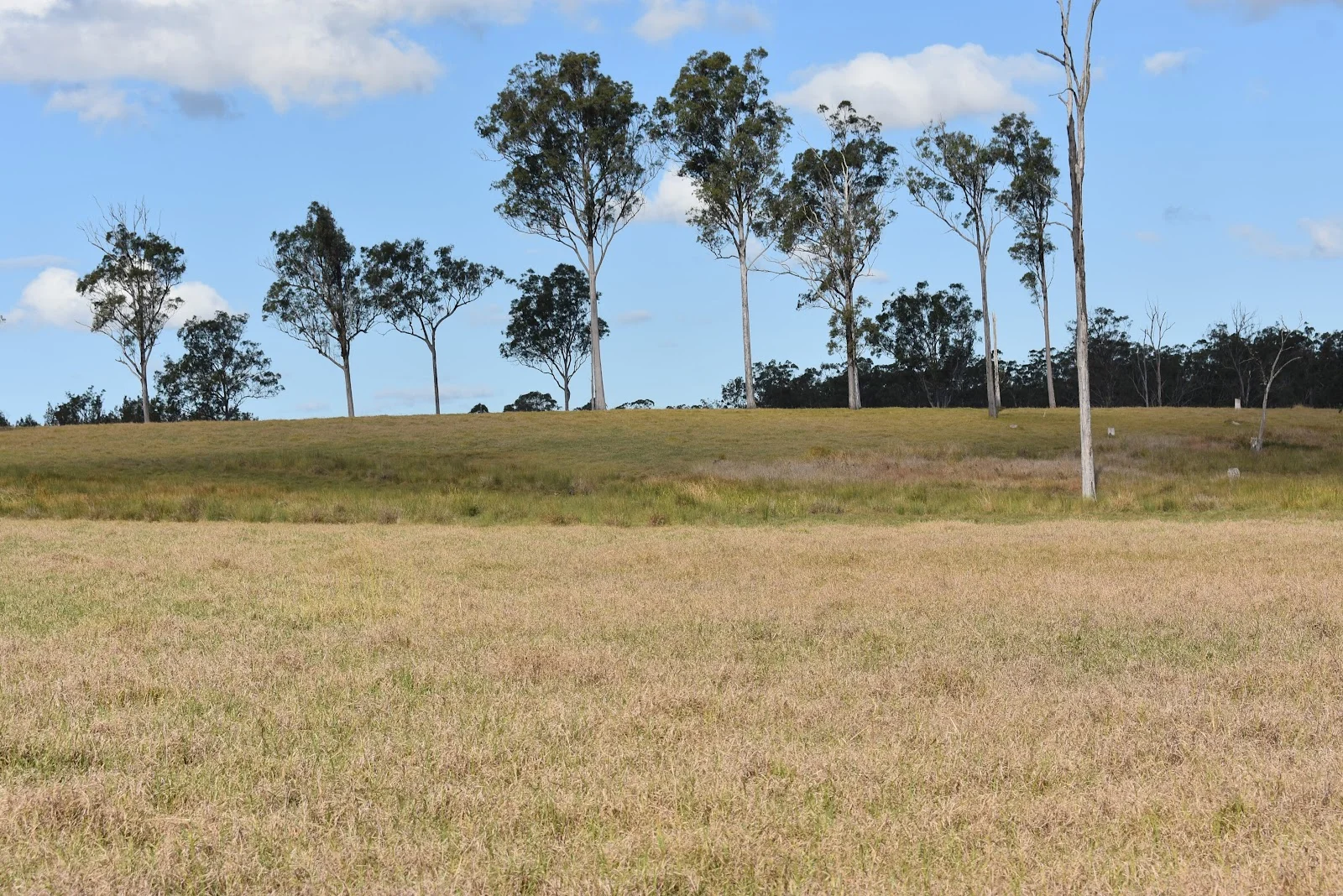 Additional image 14 of 539 Old Gayndah Road, Dunmora QLD 4650