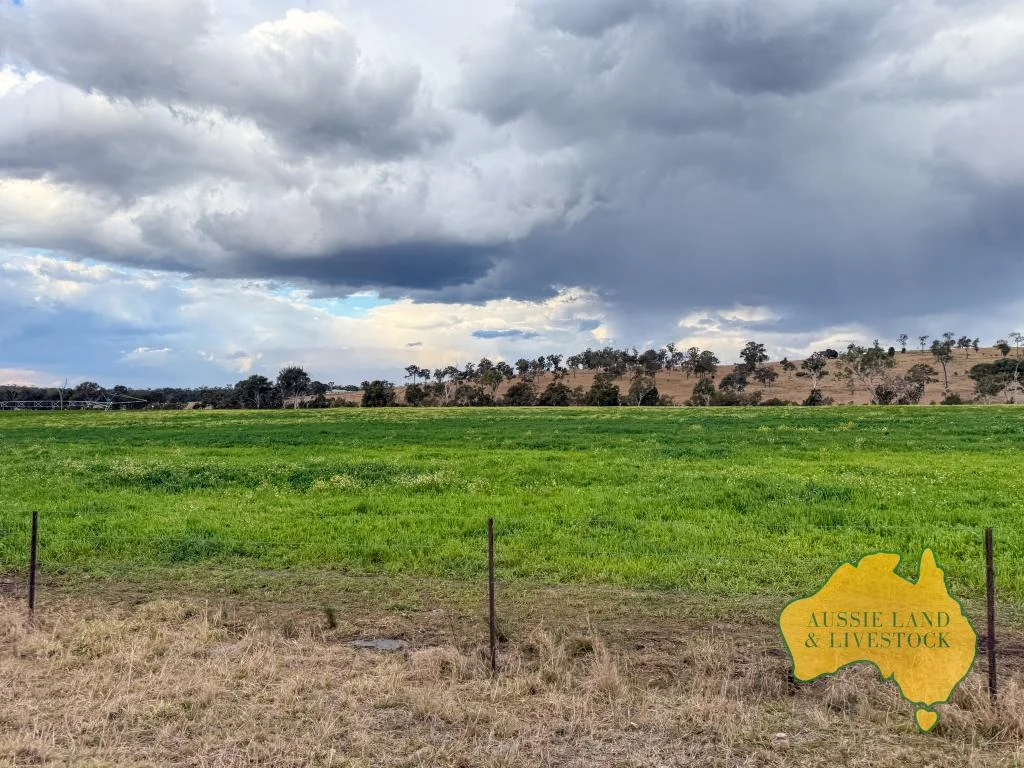 Additional image 20 of 250 Heights Road, Nanango QLD 4615