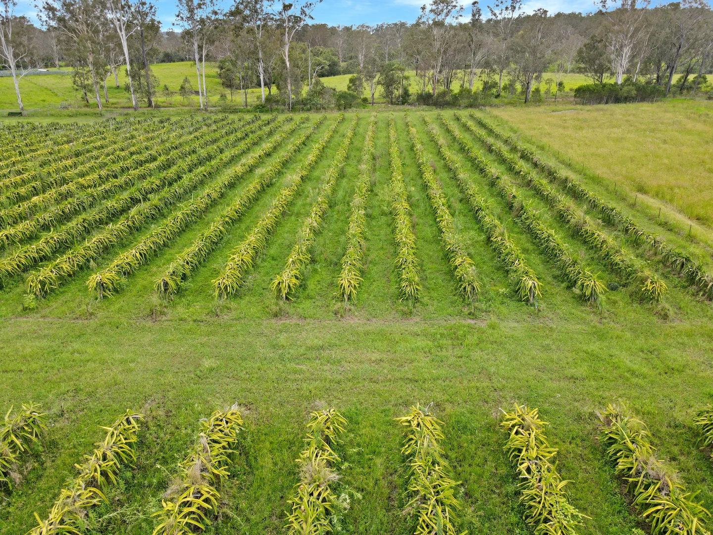 Additional image 6 of 126/288 Blowers Road, Munna Creek QLD 4570