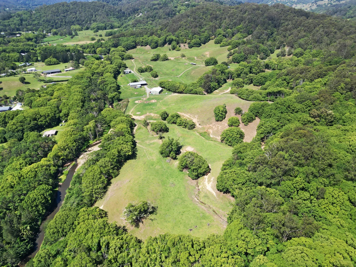 Additional image 16 of 1039 Currumbin Creek Road, Currumbin Valley QLD 4223