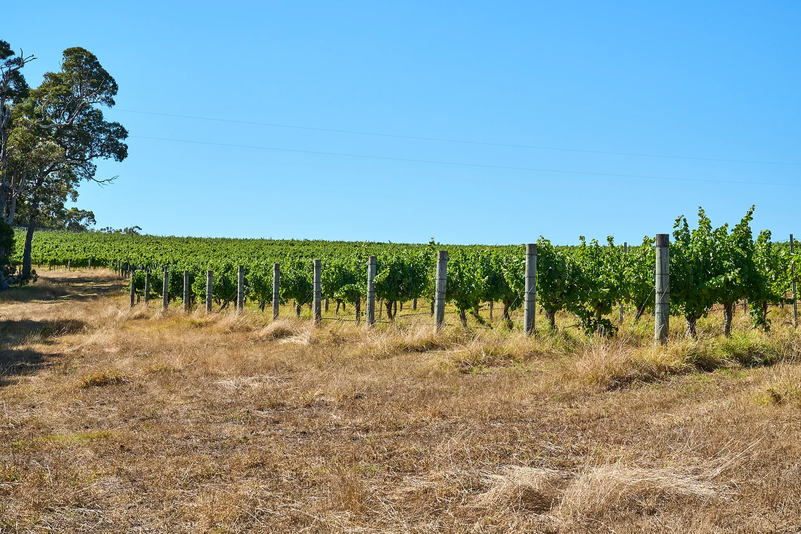 Additional image 9 of 346 Lucas Road, Rosa Glen WA 6285