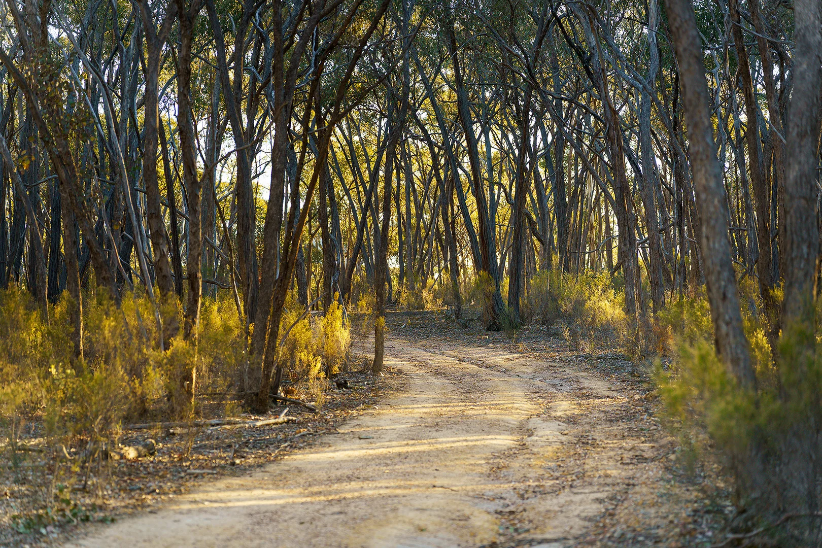 Additional image 10 of 141 Sinclairs Lane, Walmer VIC 3463