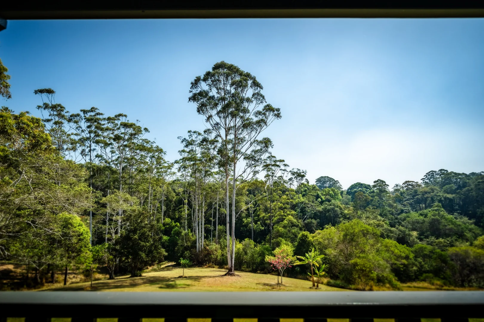 Additional image 10 of 71 Pulsford Place, Fernmount NSW 2454