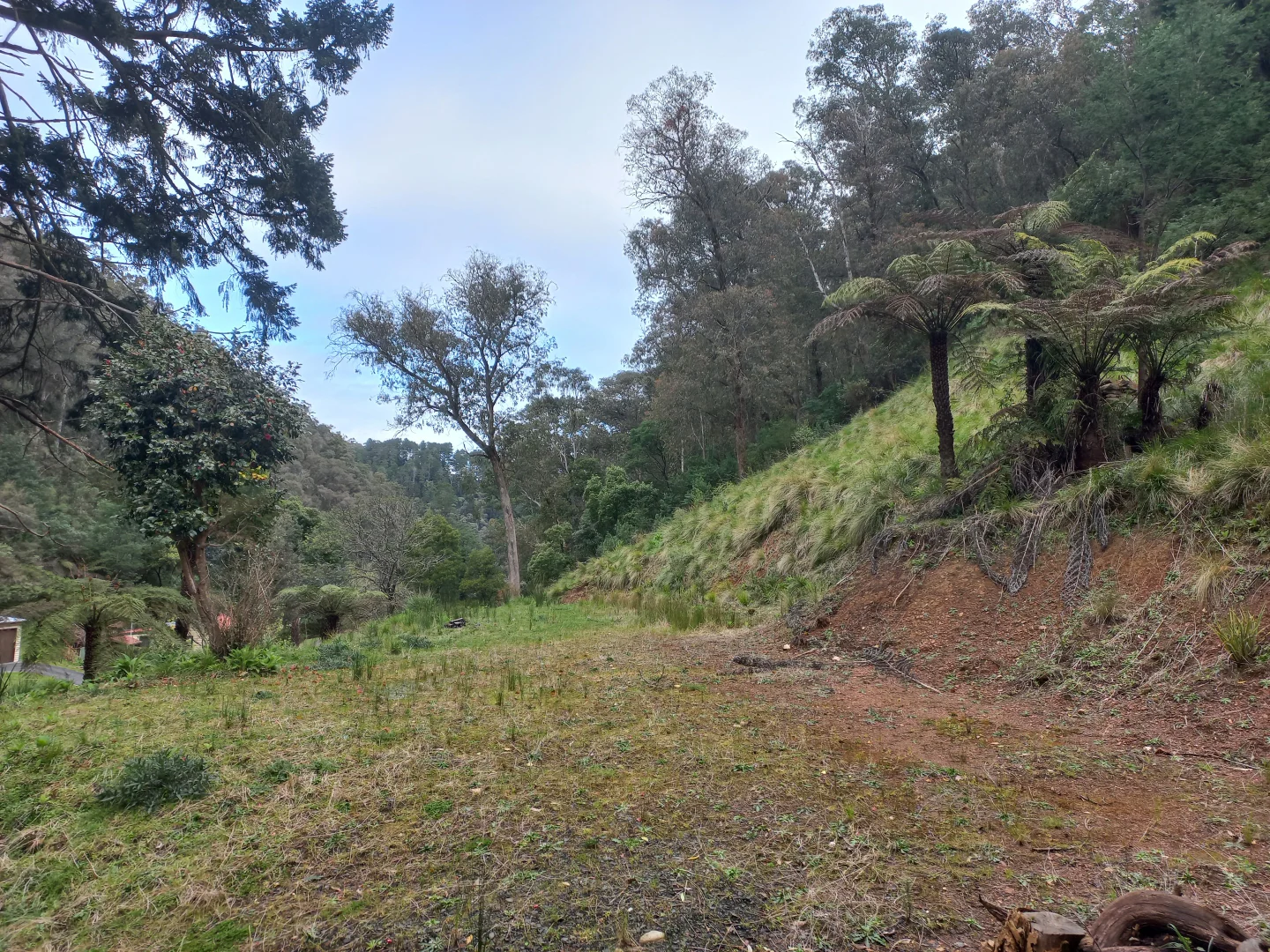 Additional image 3 of 181 Main Road, Walhalla VIC 3825