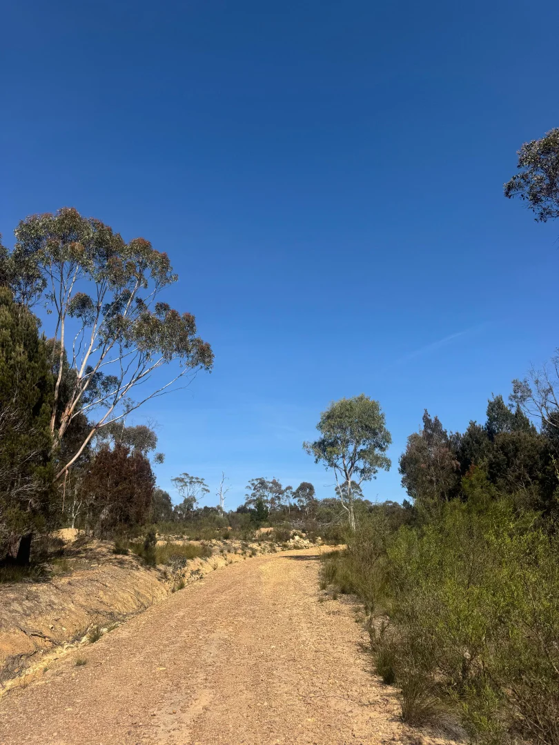 Additional image 7 of 274 Willow Glen Road, Lower Boro NSW 2580