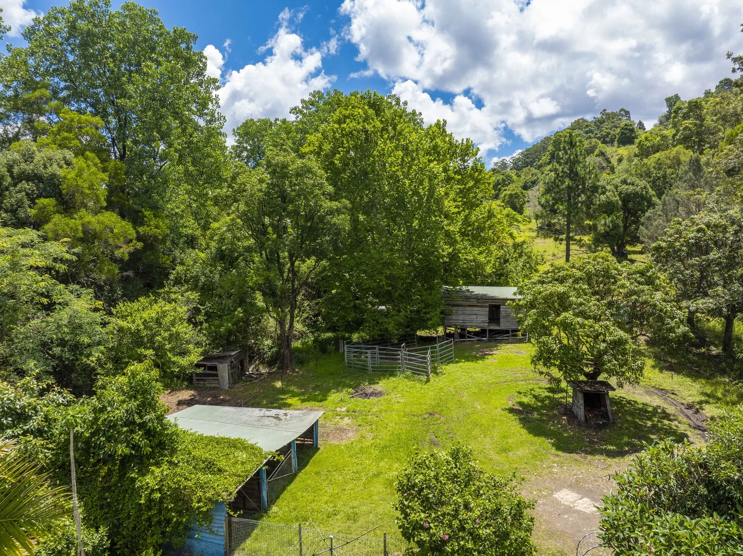 Additional image 12 of 353 Gungas Road, Nimbin NSW 2480