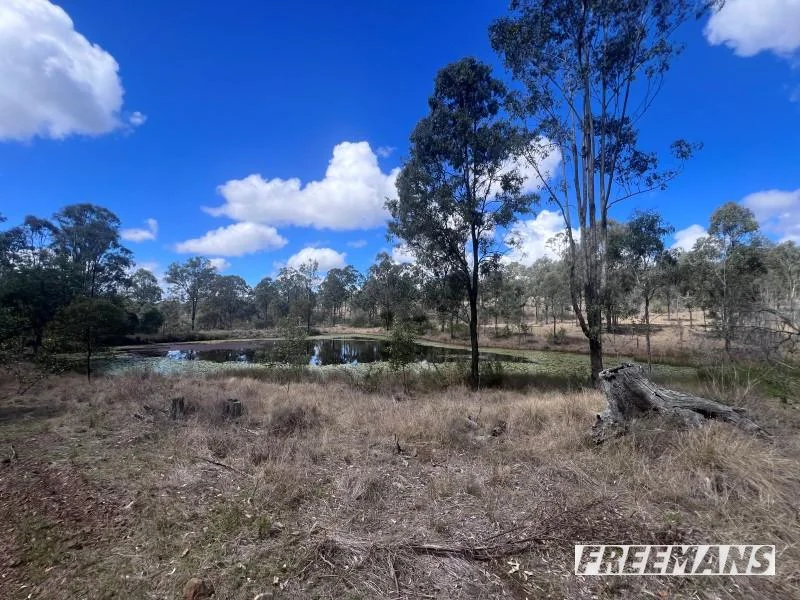 Additional image 28 of 316 Wattle Camp Road, Wattle Camp QLD 4615