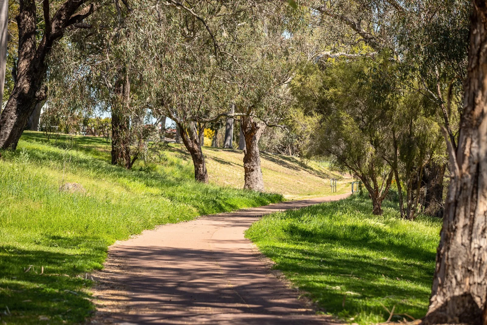 Additional image 16 of South Guildford WA 6055