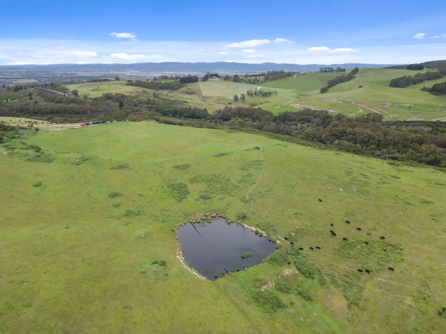 Additional image 9 of 220 Haunted Hills Road, Newborough VIC 3825