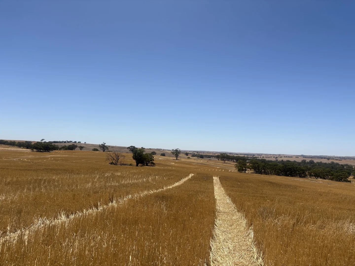 Additional image 4 of LOT/18 Irishtown Road, Buckland WA 6401