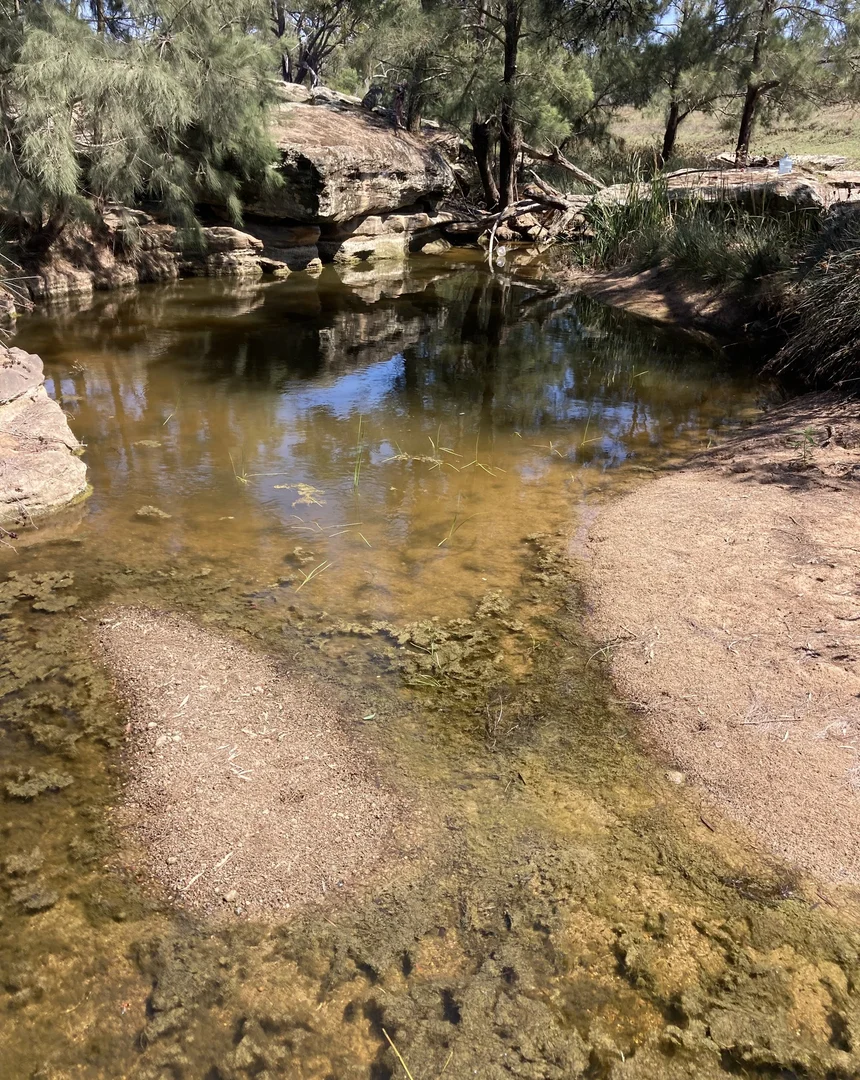 Additional image 15 of 1766 FLAGGS ROAD, Gungal NSW 2333