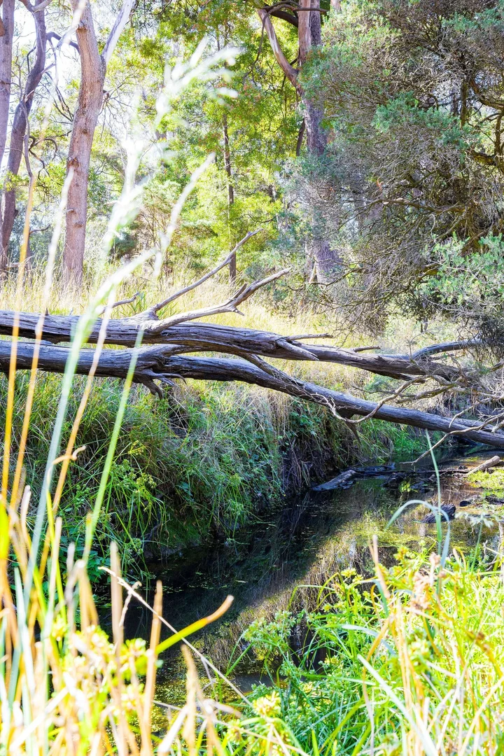 Additional image 25 of 20 Manouka Drive, Port Sorell TAS 7307