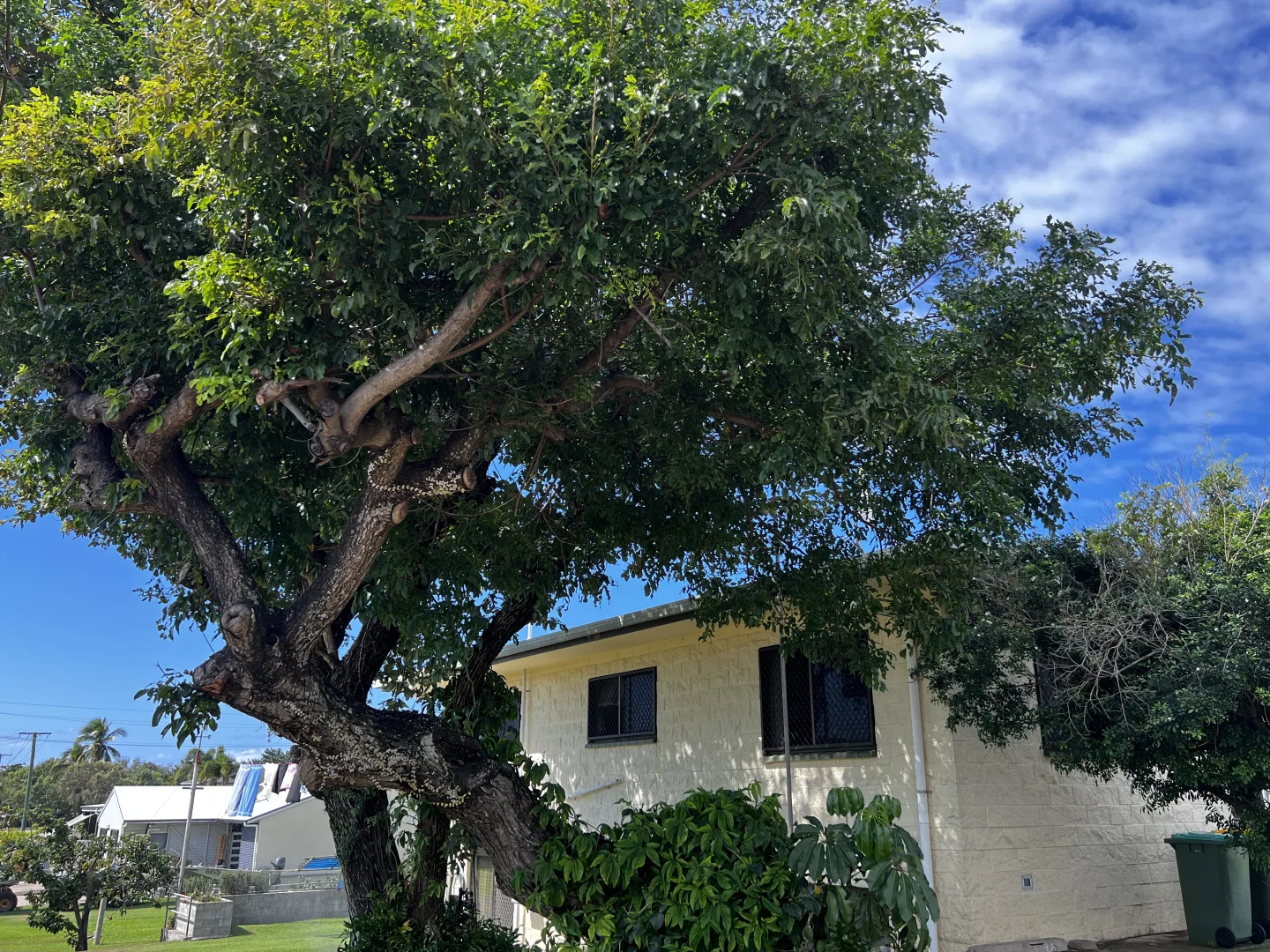 Additional image 41 of 39 Narrah Street, Alva QLD 4807