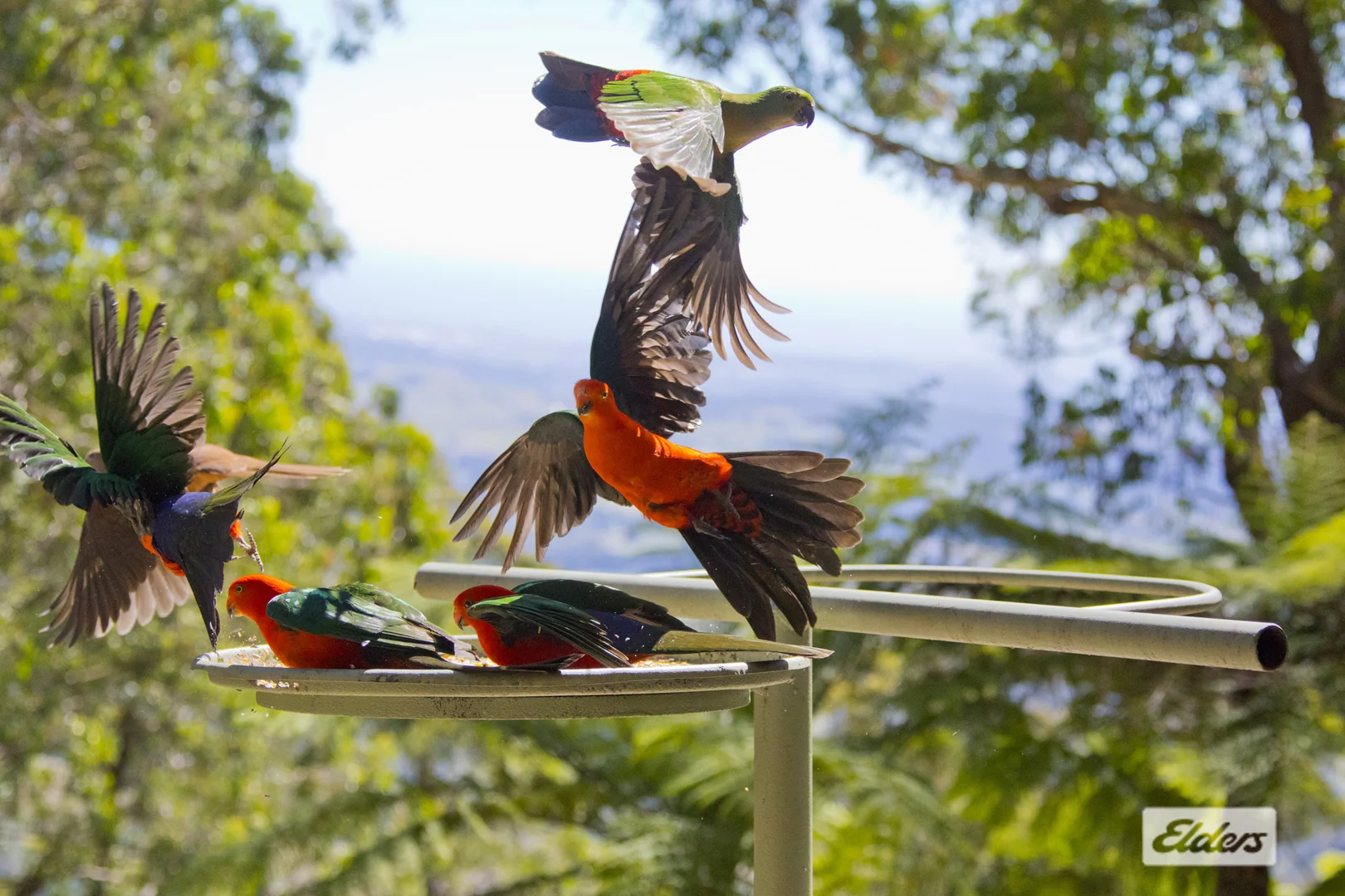 Additional image 5 of 948 Jamberoo Mountain Road, Jamberoo NSW 2533