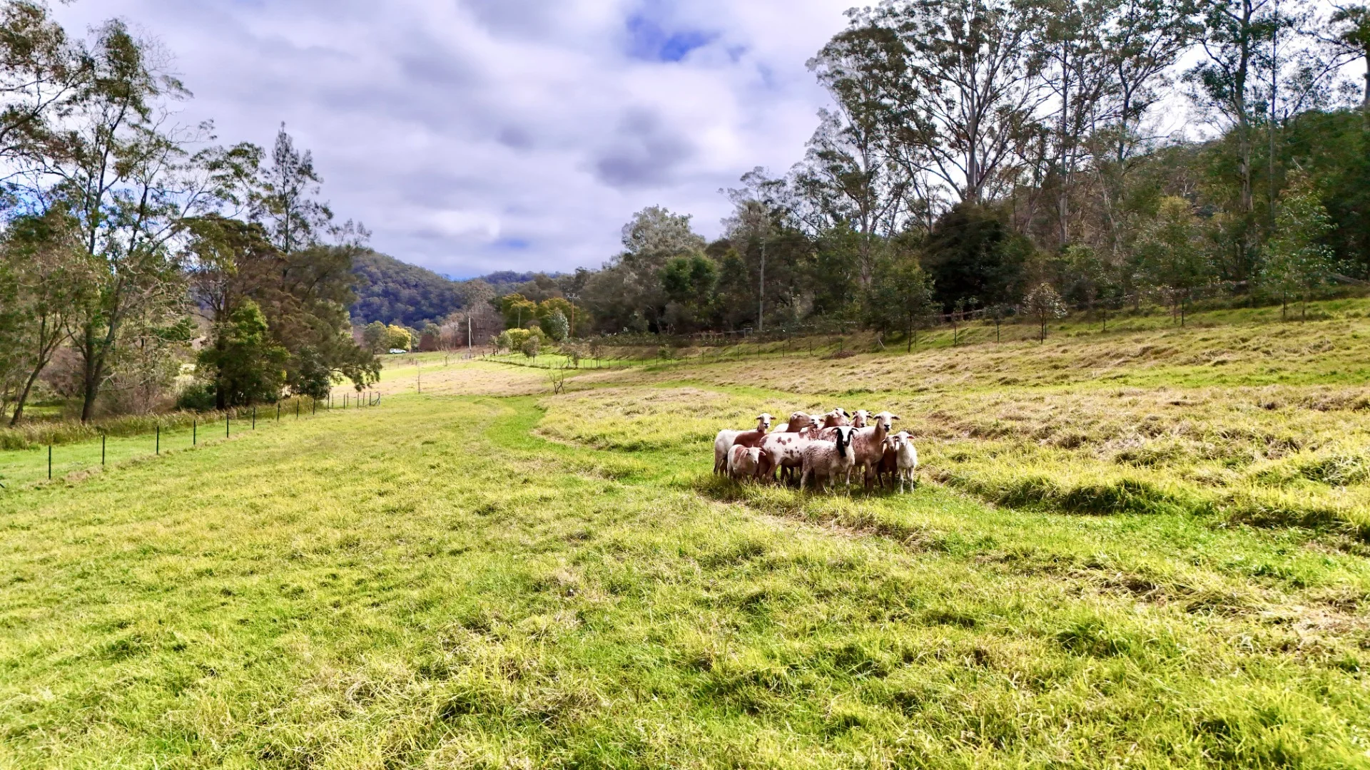 Additional image 10 of 275 Upper Colo Road, Colo NSW 2756