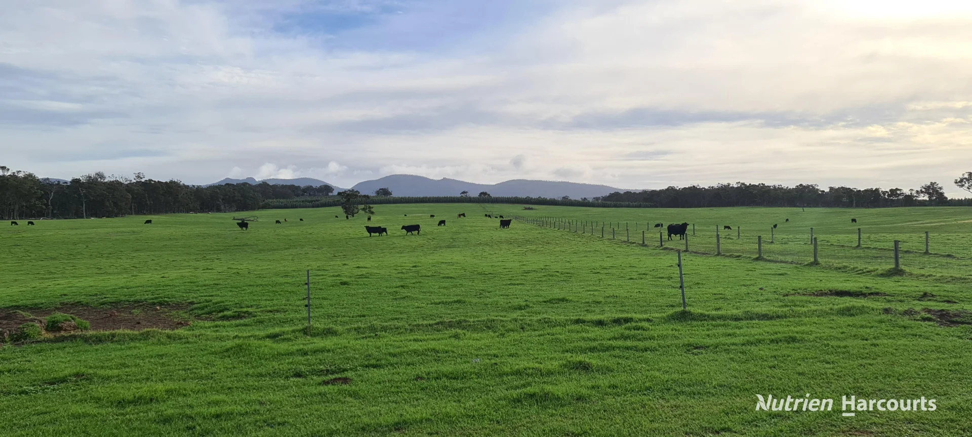 Additional image 5 of 2003 Settlement Road, Napier WA 6330