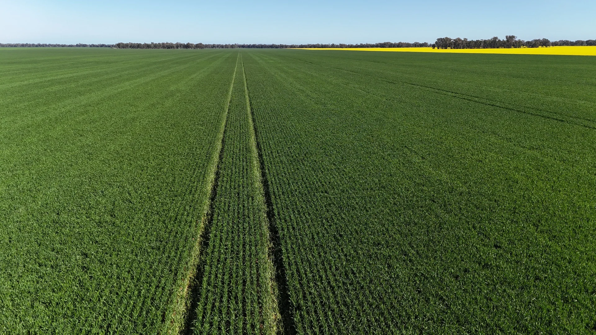 Additional image 13 of 349 A Warregal Road, Parkes NSW 2870